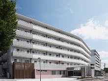 柏こひつじ園