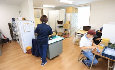 さくら