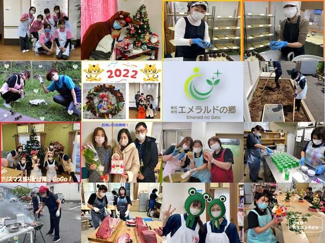 訪問介護事業所すみれ板橋