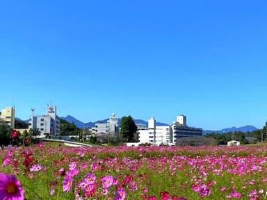 障害者支援施設 小山田苑