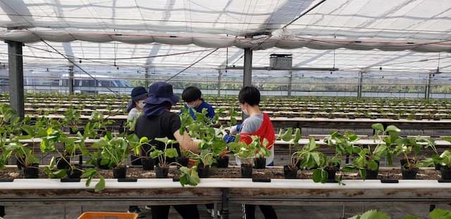 若草学園障がい児入所施設若草児童学園