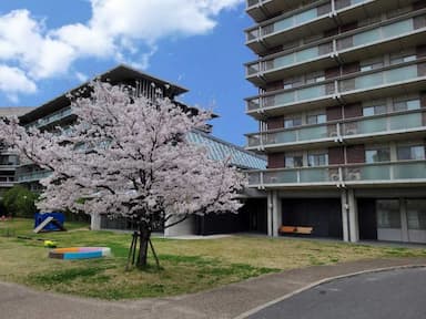 四天王寺悲田院デイセンター