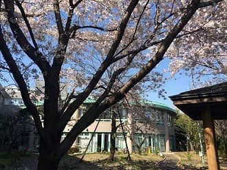 練馬ゆめの木