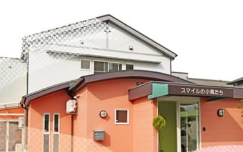 スマイルの小鳥たち