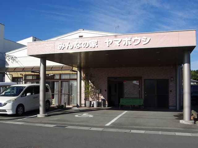 ヤマボウシ